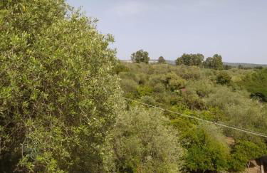 Casa Olea - Photo 52