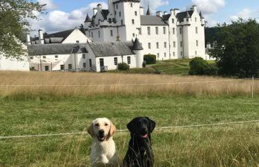 Blairchroisk Cottage - Foto 10