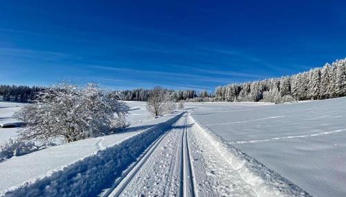 Gästehaus Steiert Fewo Kuhbergblick - Foto 5