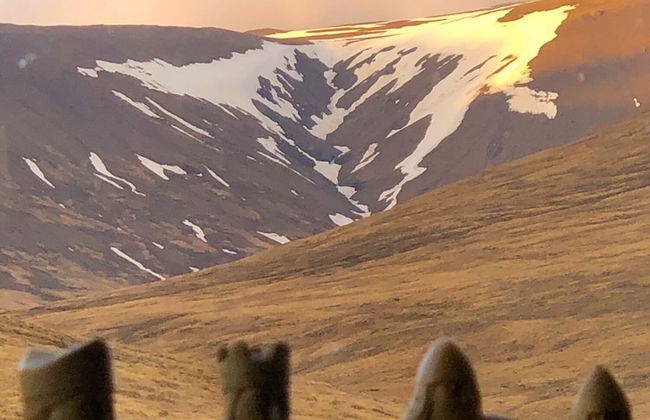 Kolsstaðir - Piece Of Heaven - Photo 21