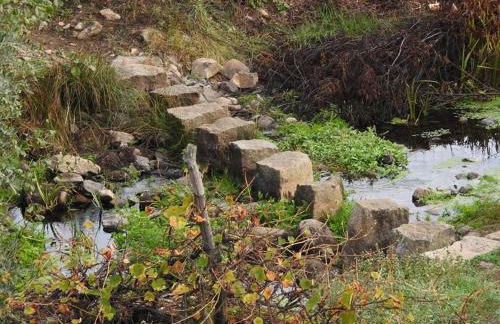 Quinta do Mineiro-Serra da Estrela - Foto 36