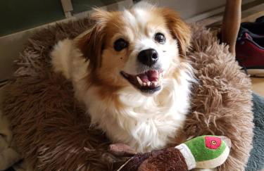 La Petite Maison du Gardien - Foto 20