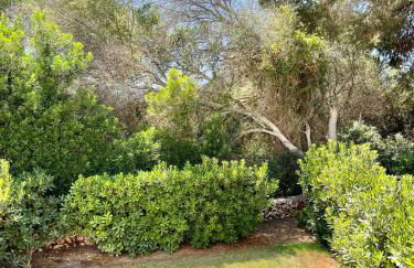 Aiguablava A2 - Foto 9