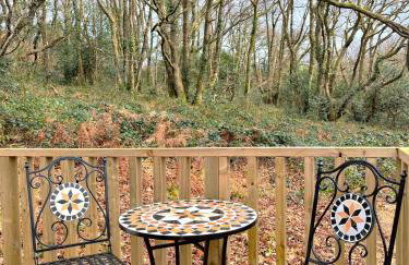 HiveAway - Hot Tub - Carmarthenshire - Pembrokeshire - Foto 6