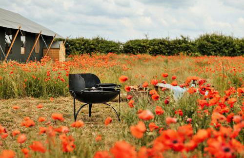 Finest Retreats - Foxley Lodge - Foto 21