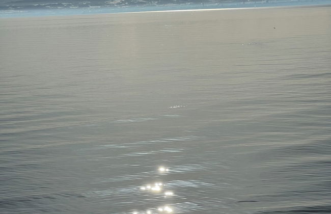 Commune88 EAST - Foto 64