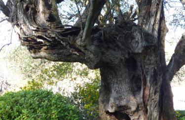 Pool House Renoir with heated pool and private garden - Foto 58