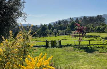 Casa de Vilar de Rei, a tranquilidade do mundo rural - Foto 38