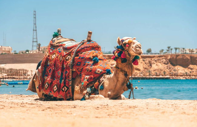 Agadir Camel Ride - Foto 3
