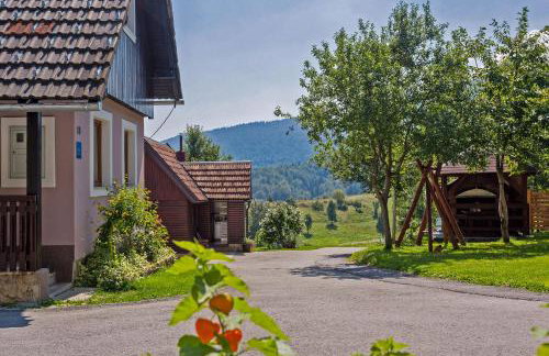 Andrea in Sertić Poljana - Haus für 6 Personen - Foto 3
