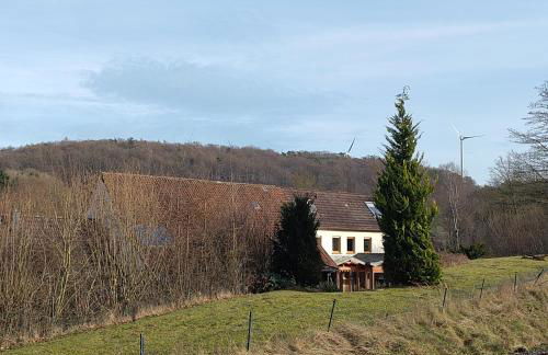 Ferienwohnung - Alte Mühle Extertal - Foto 10