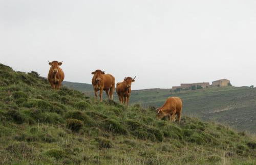 Apartamento Casa Conesa - Foto 62