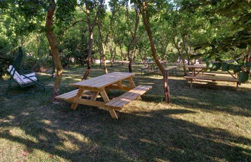 Tenuta San Felice - Foto 53