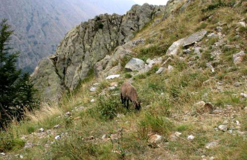 Casa di nonno Memé CITRA 008035-LT-0018 - Photo 19