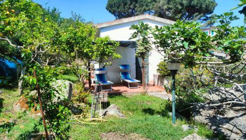 Villetta Sant'Andrea - Goelba - Foto 2, Garden