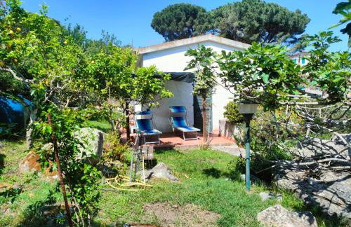 Villetta Sant'Andrea - Goelba - Foto 2