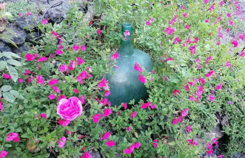 HACIENDA LA CENTENARIA,CASAS RURALES - Foto 12