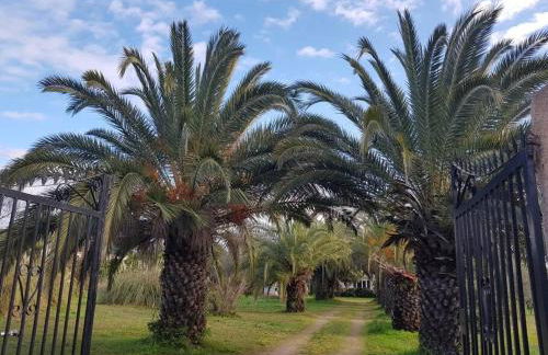 PALMA Piscine chauffée Grand jardin avec piscine à 1 km de la mer - Foto 16