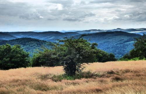 Relaxen am Eifelbach - Foto 19