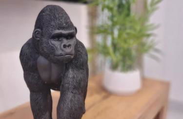 Maison cocon Bali - Foto 9