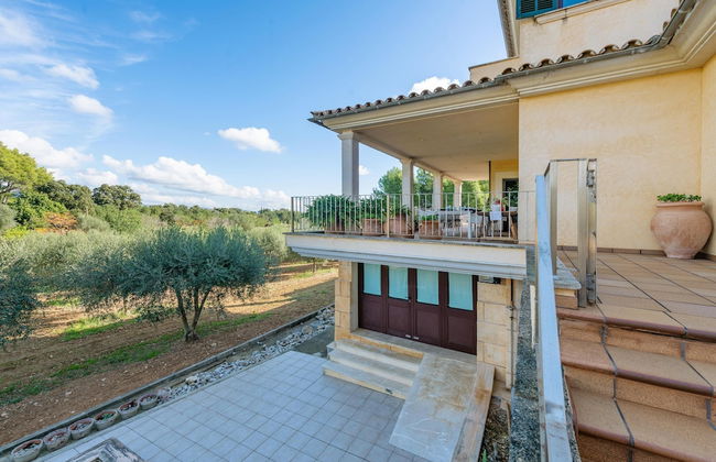 Casa Selva - Photo 47