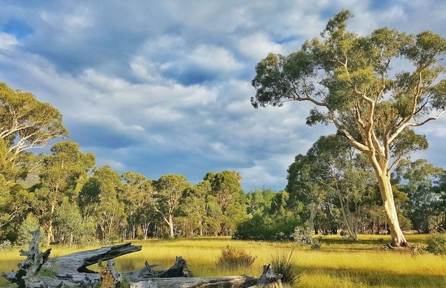 Maya Sanctuary - Foto 70