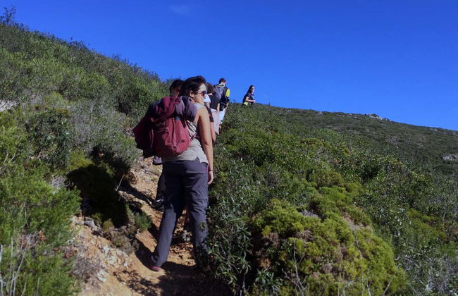 Senderismo por el Parque Natural de Arrábida - Foto 3