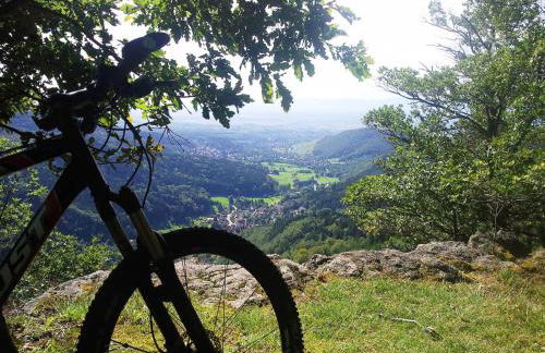 Ferienwohnung Belchenblick - Foto 29