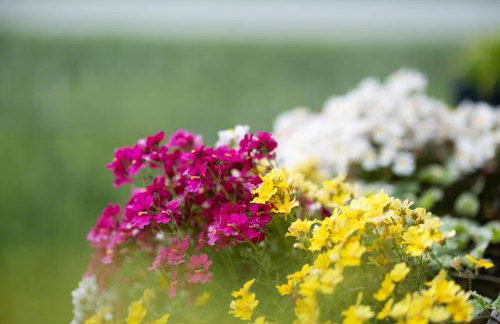 Bauernhof Sackgut - Foto 9