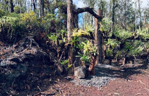 Exotic Garden cottage at amazing volcano fissure - Foto 3