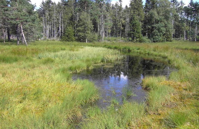 Cozy Apartment in Sonnen Bavaria near Forest - Foto 37