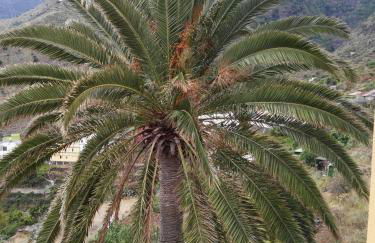 Casas Rurales El Serrillal - Foto 30