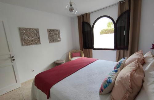 Flor De Cactus - Foto 12