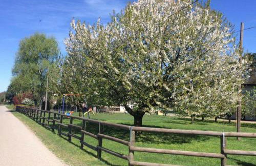 Azienda agrituristica Scotti - Foto 13