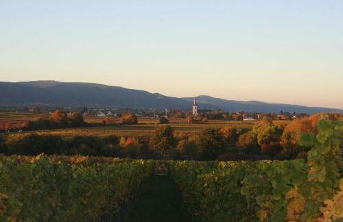Ferienwohnung Spatzennest in Edesheim - Foto 15