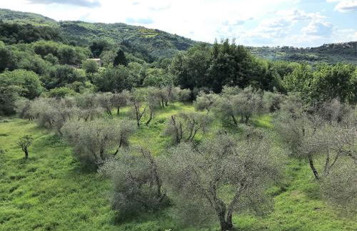 Villa Podere Del Grasso - Foto 28