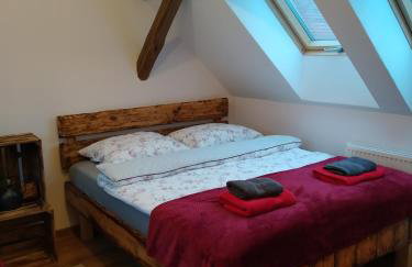 Skotopaska - Foto 30