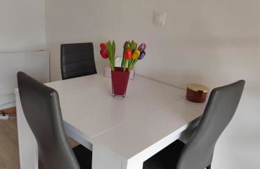 Studio Garden Parking Airport Eurexpo Groupama Stadium - Foto 6