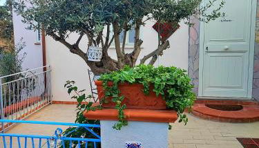 La casetta degli ulivi - Foto 5