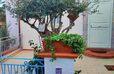 La casetta degli ulivi - Foto 5