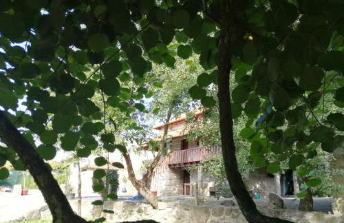 Ribeiro Country House - Near Porto - Foto 17