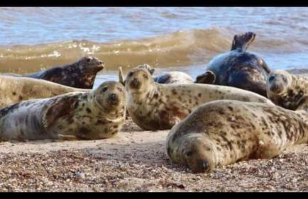 107 Headwards Retreat - Foto 29