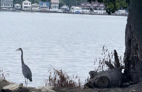 New Listing The Float House at Buckeye Lake - Foto 22