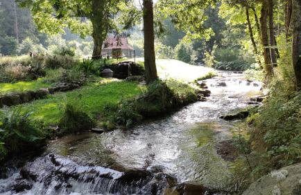 Apartamenty Kletno - Foto 32