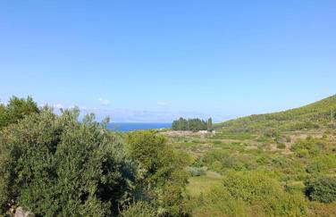 Vila Porat Pitve - Photo 12