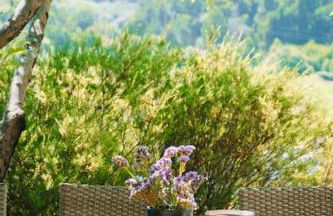 Just Like Home - Casa Glória - Foto 32