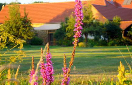 JANISCHs Fewo im Spreewald, Terrasse, großer Garten und Blick inklusive - Foto 51