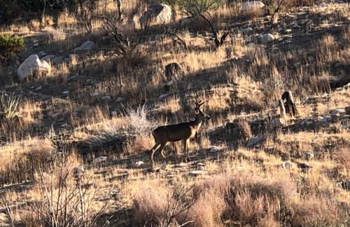 Shooting Star Lodge - Foto 44