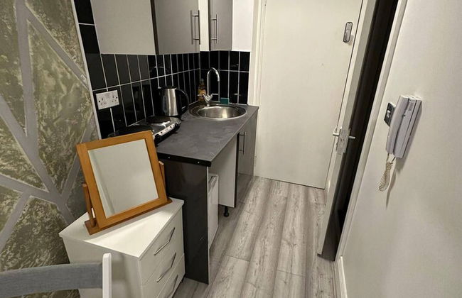 Charming 1-bed Studio in London - Foto 13