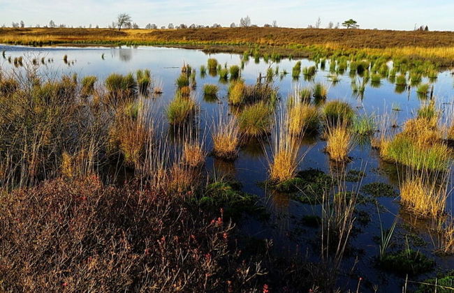 Holiday Home Altes Zollhaus No. 19 - Foto 3